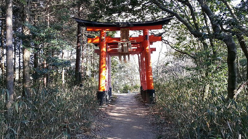Fushimi Inari Taisha - 07