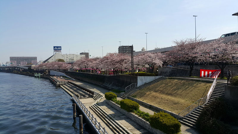 Sumida Park - 01